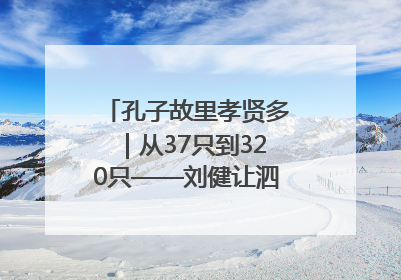 孔子故里孝贤多｜从37只到320只——刘健让泗水裘皮羊重生