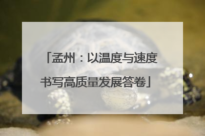 孟州：以温度与速度书写高质量发展答卷