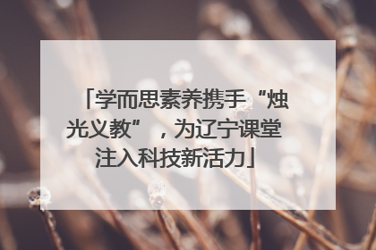 学而思素养携手“烛光义教”，为辽宁课堂注入科技新活力