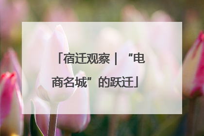 宿迁观察｜“电商名城”的跃迁