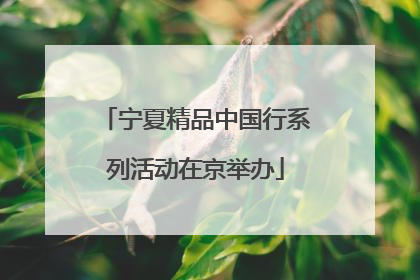 宁夏精品中国行系列活动在京举办