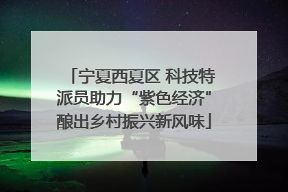 宁夏西夏区 科技特派员助力“紫色经济”酿出乡村振兴新风味