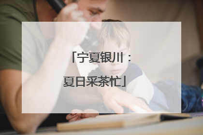 宁夏银川：夏日采茶忙