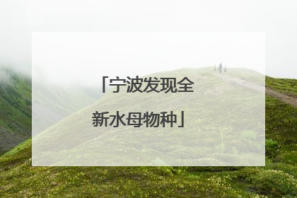 宁波发现全新水母物种