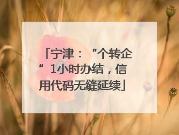 宁津：“个转企”1小时办结，信用代码无缝延续