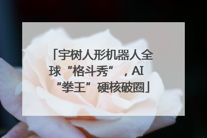 宇树人形机器人全球“格斗秀”，AI“拳王”硬核破圈