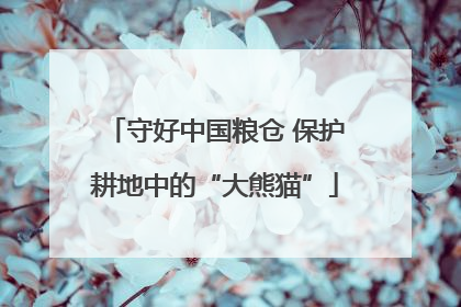 守好中国粮仓 保护耕地中的“大熊猫”