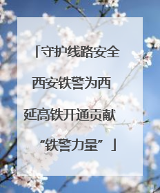 守护线路安全 西安铁警为西延高铁开通贡献“铁警力量”