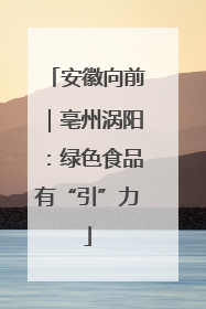 安徽向前｜亳州涡阳：绿色食品有“引”力