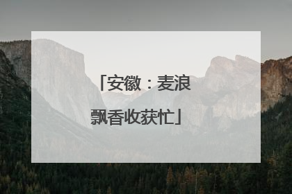 安徽：麦浪飘香收获忙