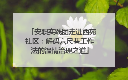 安职实践团走进西苑社区：解码六尺巷工作法的温情治理之道