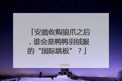 安踏收购狼爪之后，谁会是鸭鸭羽绒服的“国际跳板”？