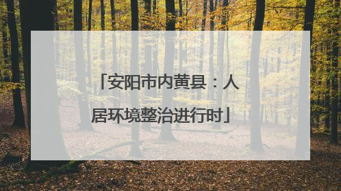 安阳市内黄县：人居环境整治进行时