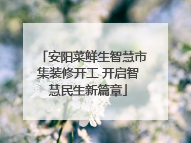 安阳菜鲜生智慧市集装修开工 开启智慧民生新篇章