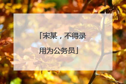 宋某，不得录用为公务员