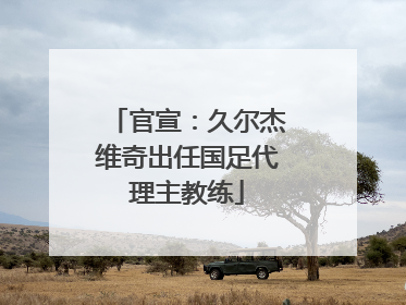 官宣：久尔杰维奇出任国足代理主教练