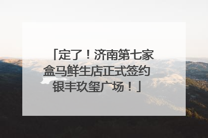定了！济南第七家盒马鲜生店正式签约银丰玖玺广场！