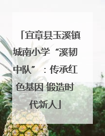 宜章县玉溪镇城南小学“溪韧中队”：传承红色基因 锻造时代新人