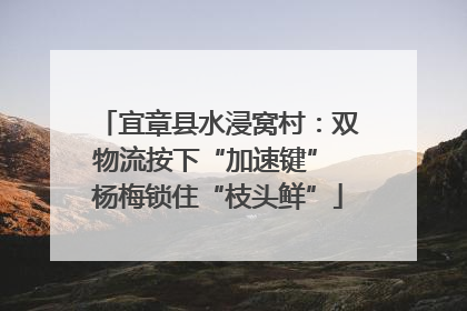 宜章县水浸窝村：双物流按下“加速键” 杨梅锁住“枝头鲜”