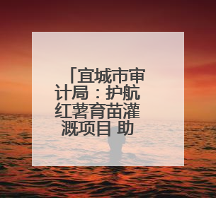 宜城市审计局：护航红薯育苗灌溉项目 助力农业增效农民增收