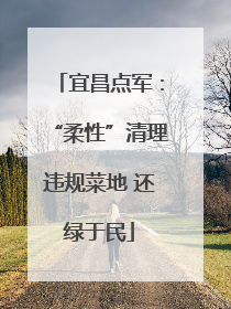 宜昌点军：“柔性”清理违规菜地 还绿于民