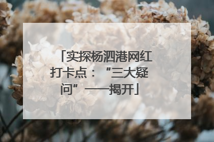 实探杨泗港网红打卡点：“三大疑问”一一揭开