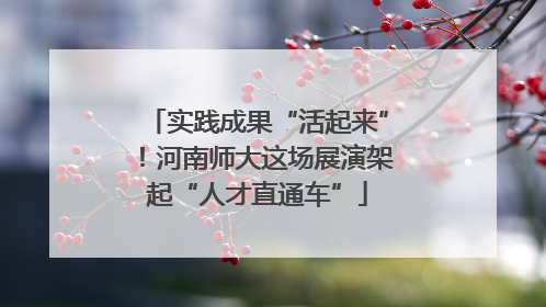 实践成果“活起来”！河南师大这场展演架起“人才直通车”
