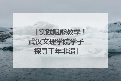 实践赋能教学！武汉文理学院学子探寻千年非遗