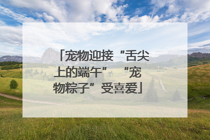 宠物迎接“舌尖上的端午” “宠物粽子”受喜爱