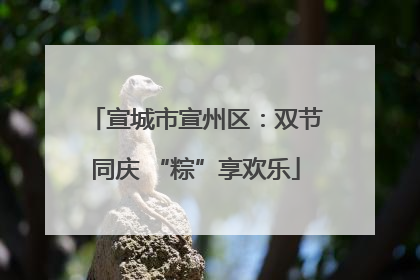 宣城市宣州区：双节同庆 “粽”享欢乐