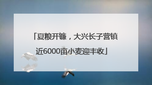 夏粮开镰，大兴长子营镇近6000亩小麦迎丰收