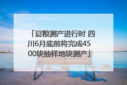 夏粮测产进行时 四川6月底前将完成4500块抽样地块测产