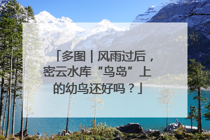 多图｜风雨过后，密云水库“鸟岛”上的幼鸟还好吗？