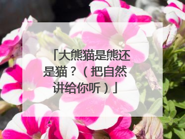 大熊猫是熊还是猫？（把自然讲给你听）