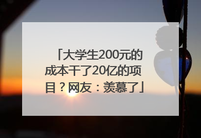 大学生200元的成本干了20亿的项目？网友：羡慕了