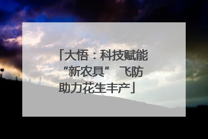 大悟：科技赋能“新农具” 飞防助力花生丰产