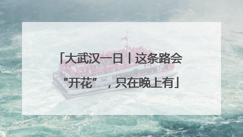 大武汉一日丨这条路会“开花”，只在晚上有