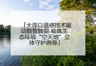 大连以遥感技术驱动数智转型 绘就生态环境“空天地”立体守护画卷