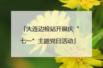 大连边检站开展庆“七一”主题党日活动