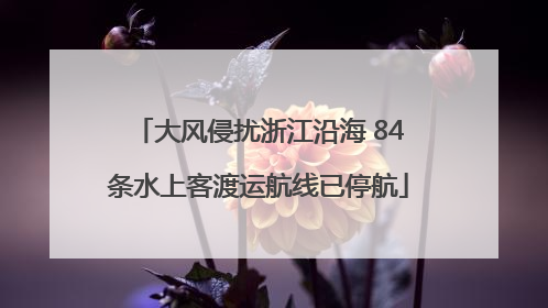 大风侵扰浙江沿海 84条水上客渡运航线已停航
