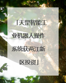 天罡智能工业机器人操作系统获两江新区投资