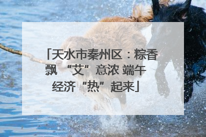 天水市秦州区：粽香飘 “艾”意浓 端午经济“热”起来