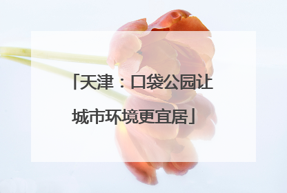 天津：口袋公园让城市环境更宜居