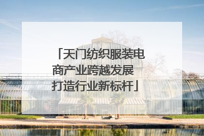 天门纺织服装电商产业跨越发展 打造行业新标杆
