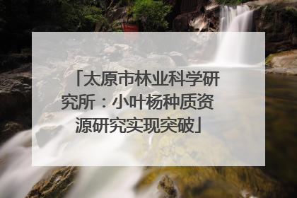 太原市林业科学研究所：小叶杨种质资源研究实现突破