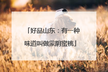 好品山东：有一种味道叫做蒙阴蜜桃