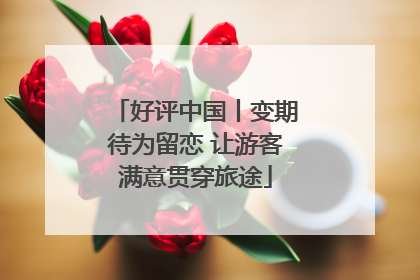 好评中国丨变期待为留恋 让游客满意贯穿旅途