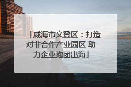 威海市文登区：打造对非合作产业园区 助力企业抱团出海