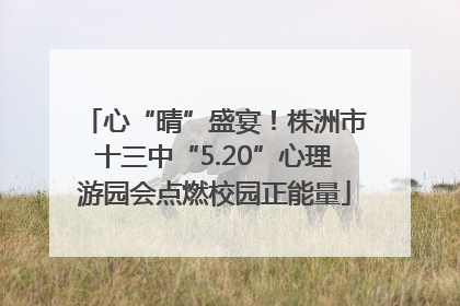 心“晴”盛宴！株洲市十三中“5.20”心理游园会点燃校园正能量