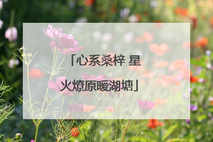 心系桑梓 星火燎原暖湖塘